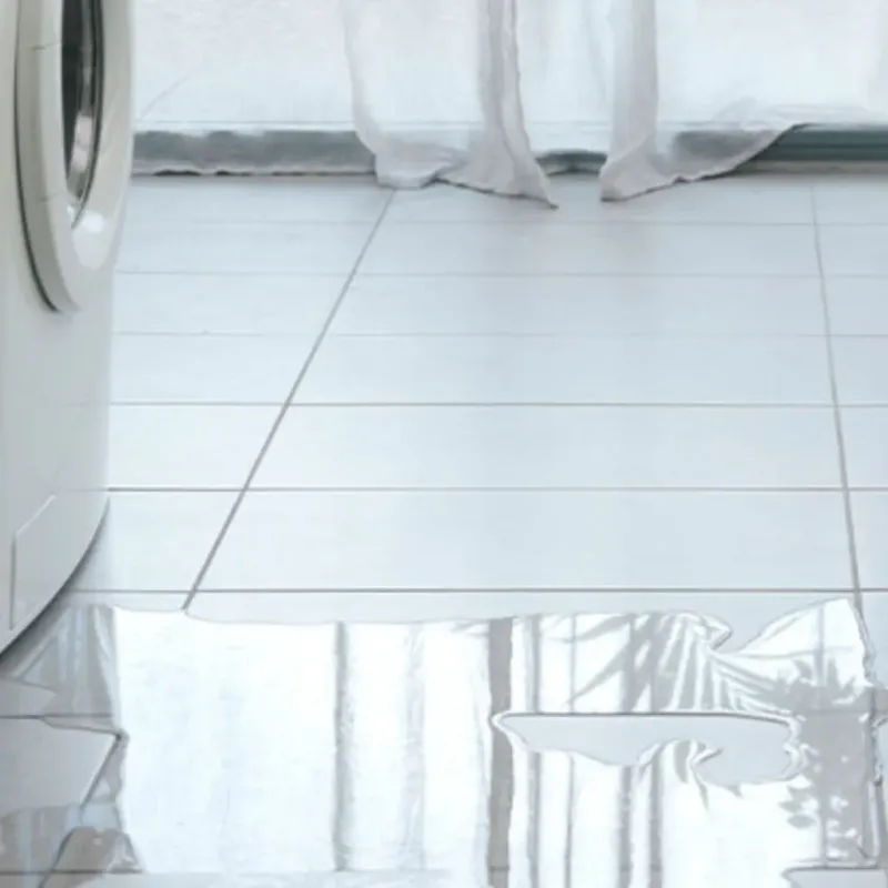 Appliance Leak Cleanup in Pine Hills, CA