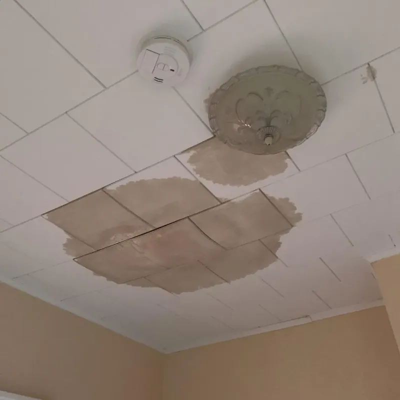 Ceiling Water Damage Repair in Pine Hills, CA