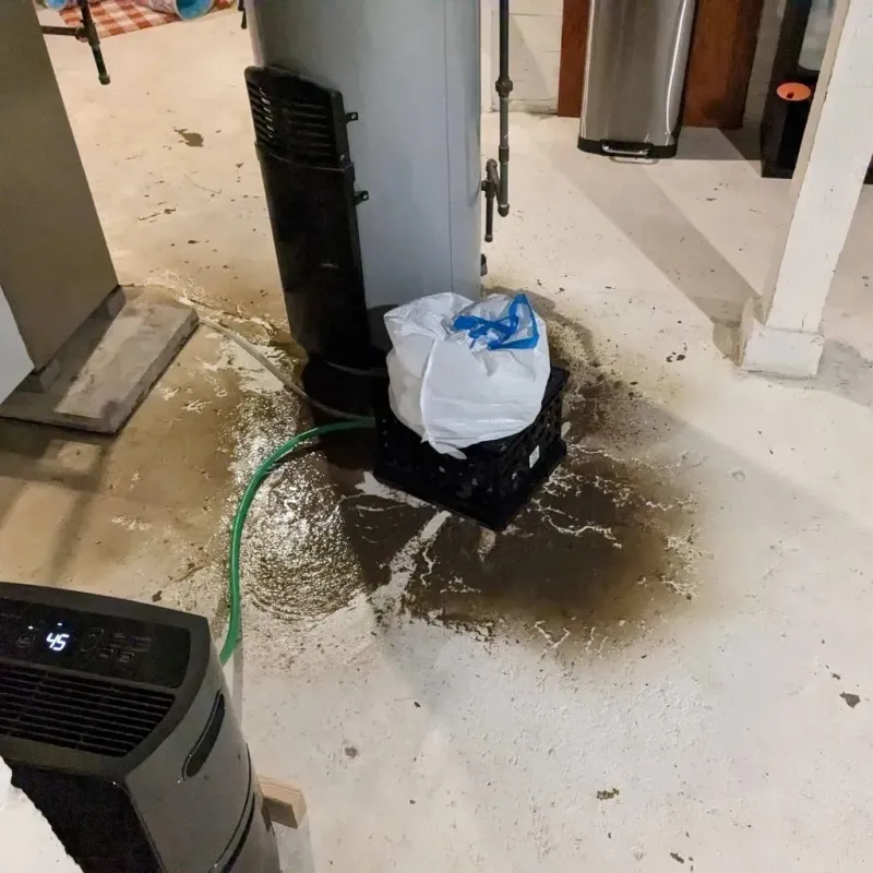 Sewage Backup Cleanup Service in Pine Hills, CA